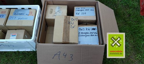 IMG_20230911_180422